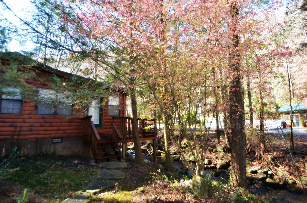 Little Creek Cabin Villa Chalet Village Luaran gambar